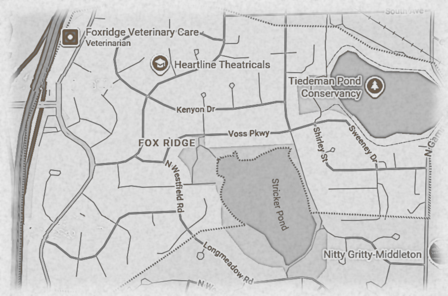 House cleaning in Fox Ridge Middleton WI